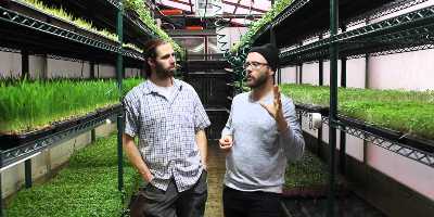 TSH - 106 - Urban Microgreens - Chris Thoreau